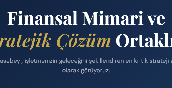 İstanbul Eczane Muhasebecisi